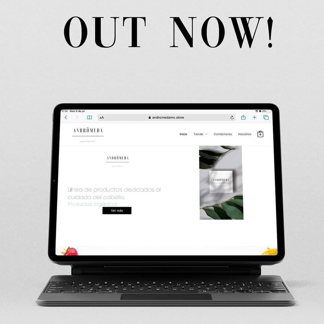 Portafolio Andrômeda, Desarrollo Web Veracruz