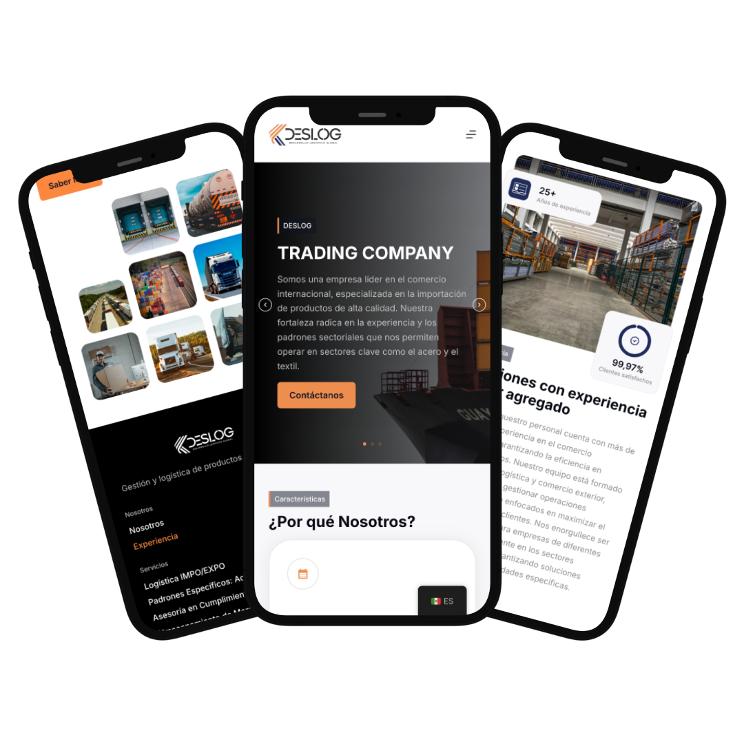 Portafolio Deslog, Desarrollo Web Veracruz