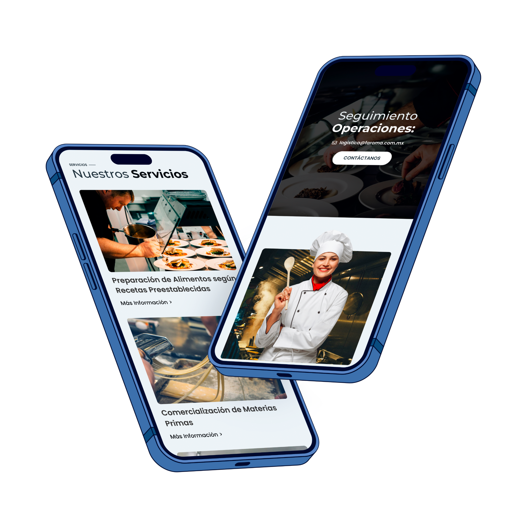 Portafolio Faroma, Desarrollo Web Veracruz