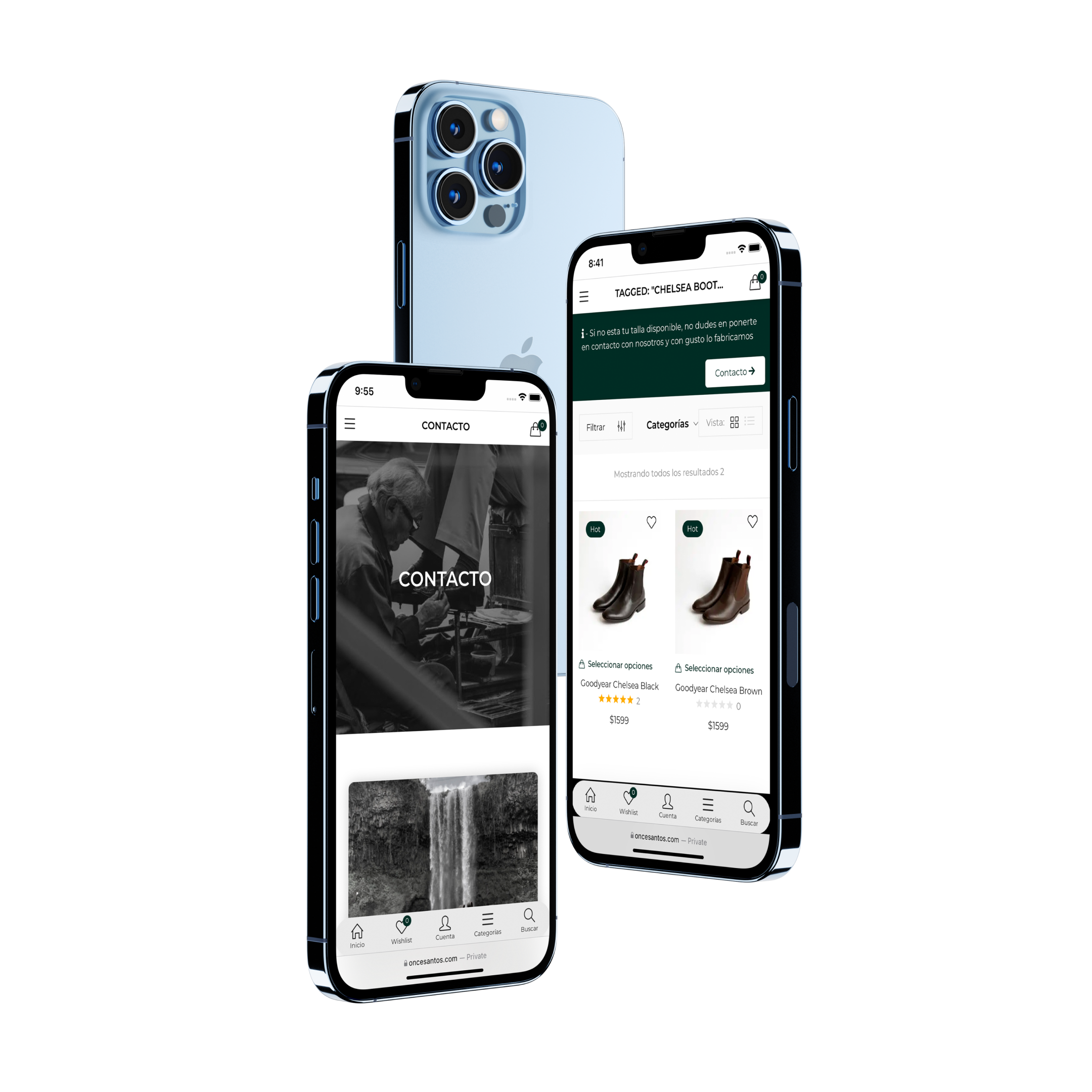 Portafolio OnceSantos, Desarrollo Web Veracruz