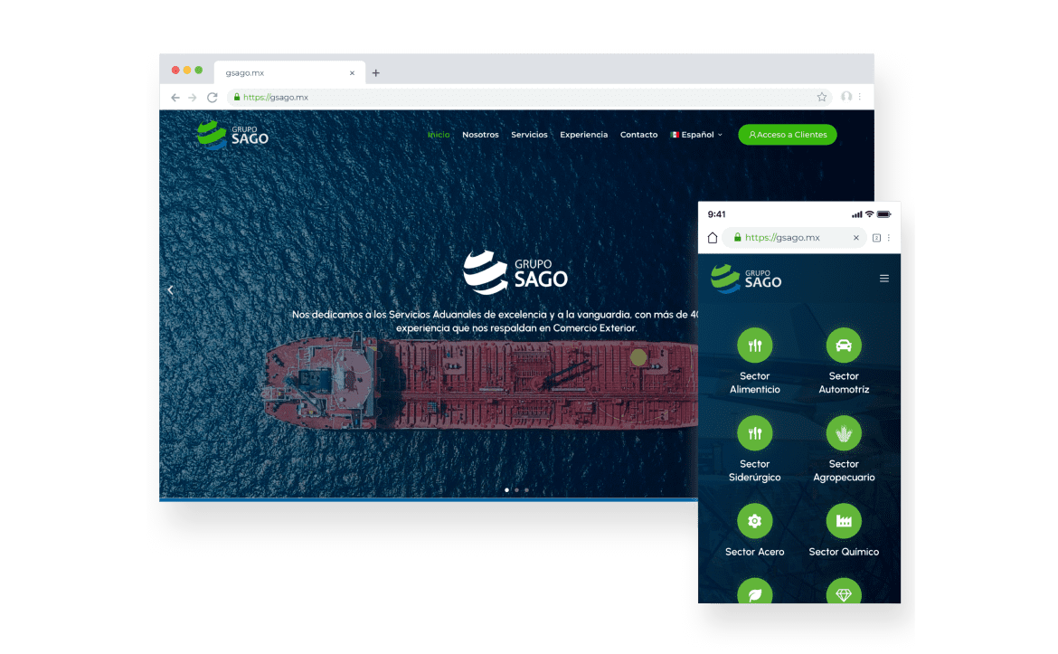 Diseño Web Veracruz
